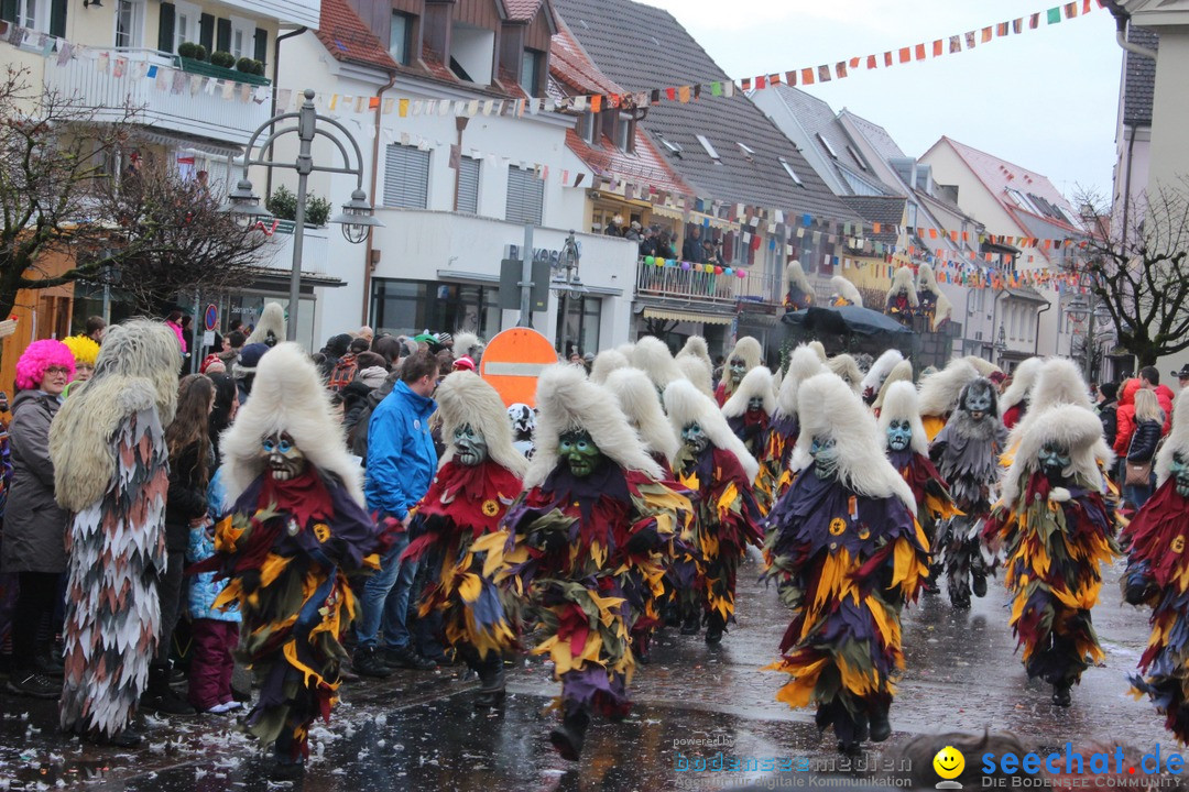 Fasnetsumzug - Fasching: Langenargen am Bodensee, 10.01.2016