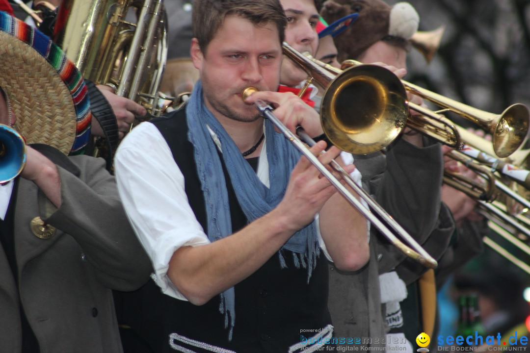 Fasnetsumzug - Fasching: Langenargen am Bodensee, 10.01.2016