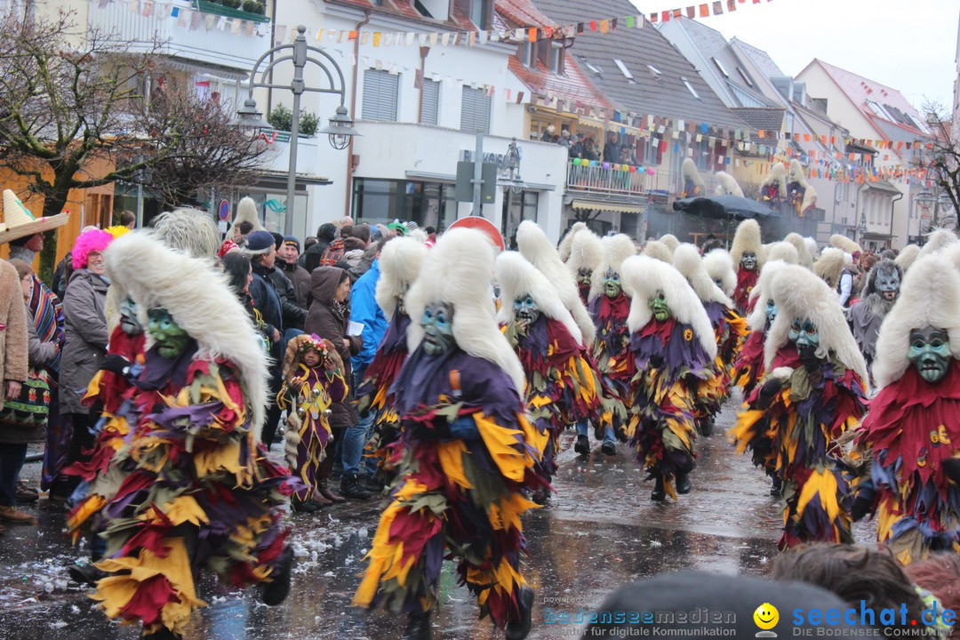 Fasnetsumzug - Fasching: Langenargen am Bodensee, 10.01.2016