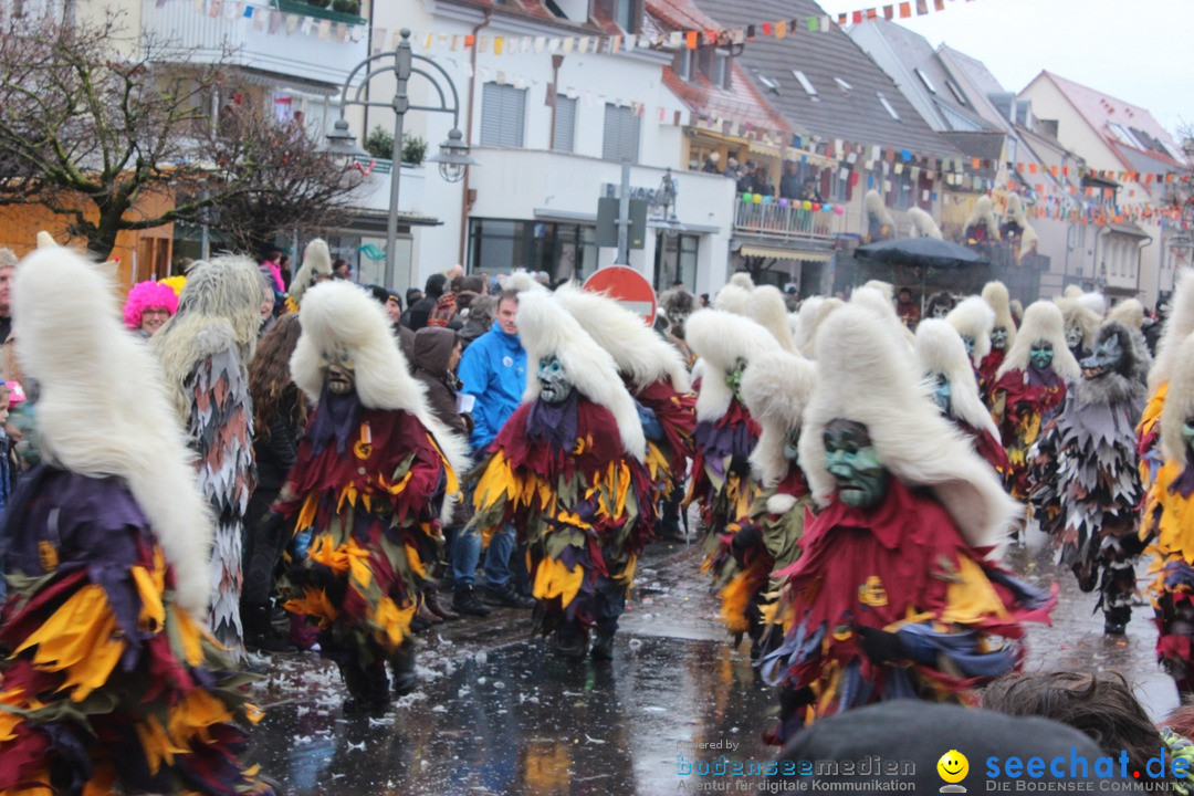 Fasnetsumzug - Fasching: Langenargen am Bodensee, 10.01.2016