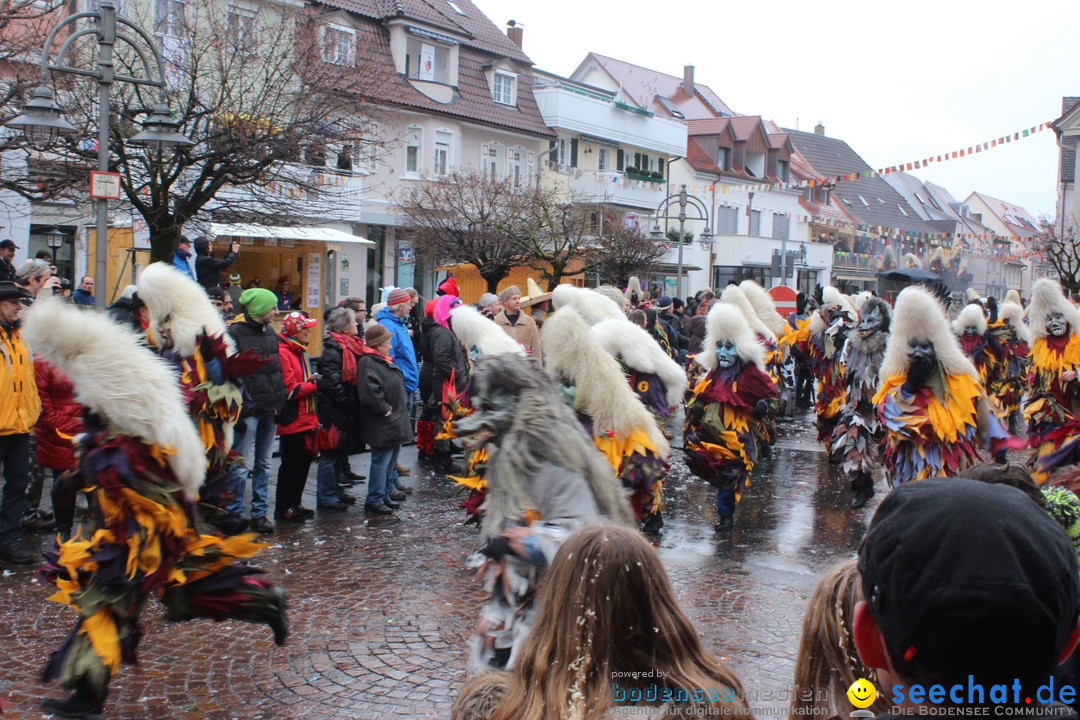 Fasnetsumzug - Fasching: Langenargen am Bodensee, 10.01.2016