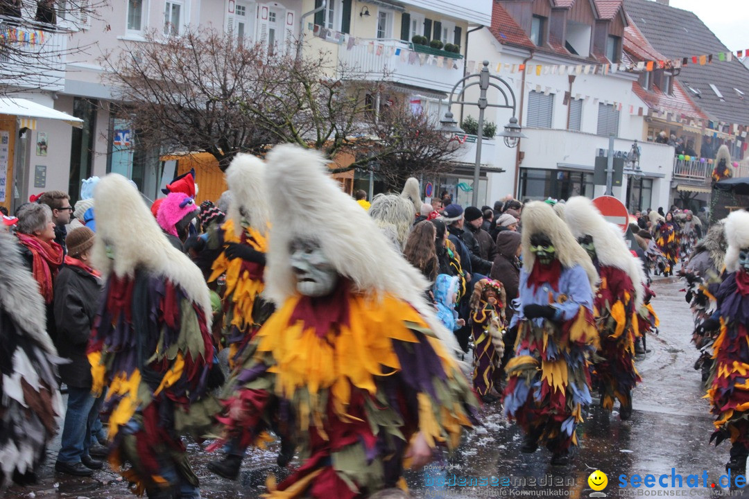 Fasnetsumzug - Fasching: Langenargen am Bodensee, 10.01.2016