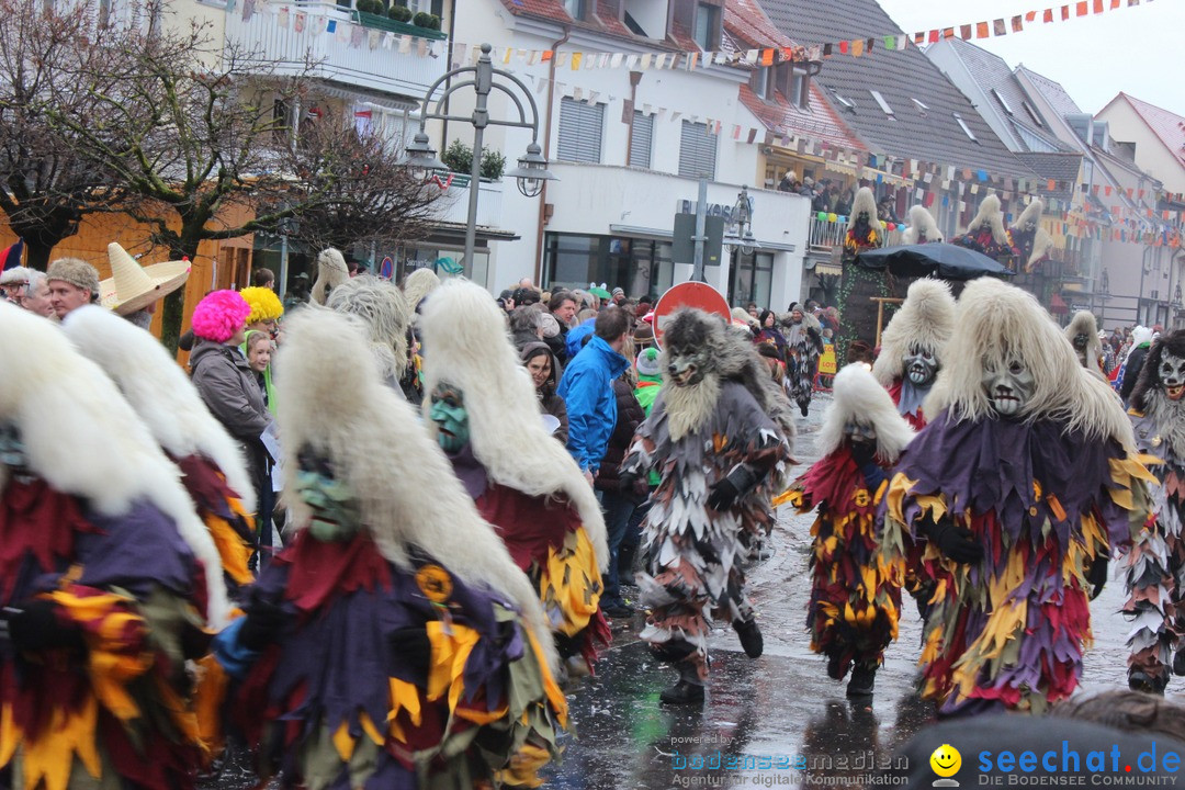 Fasnetsumzug - Fasching: Langenargen am Bodensee, 10.01.2016