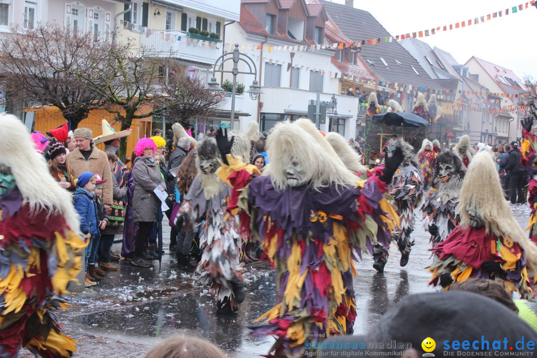 Fasnetsumzug - Fasching: Langenargen am Bodensee, 10.01.2016