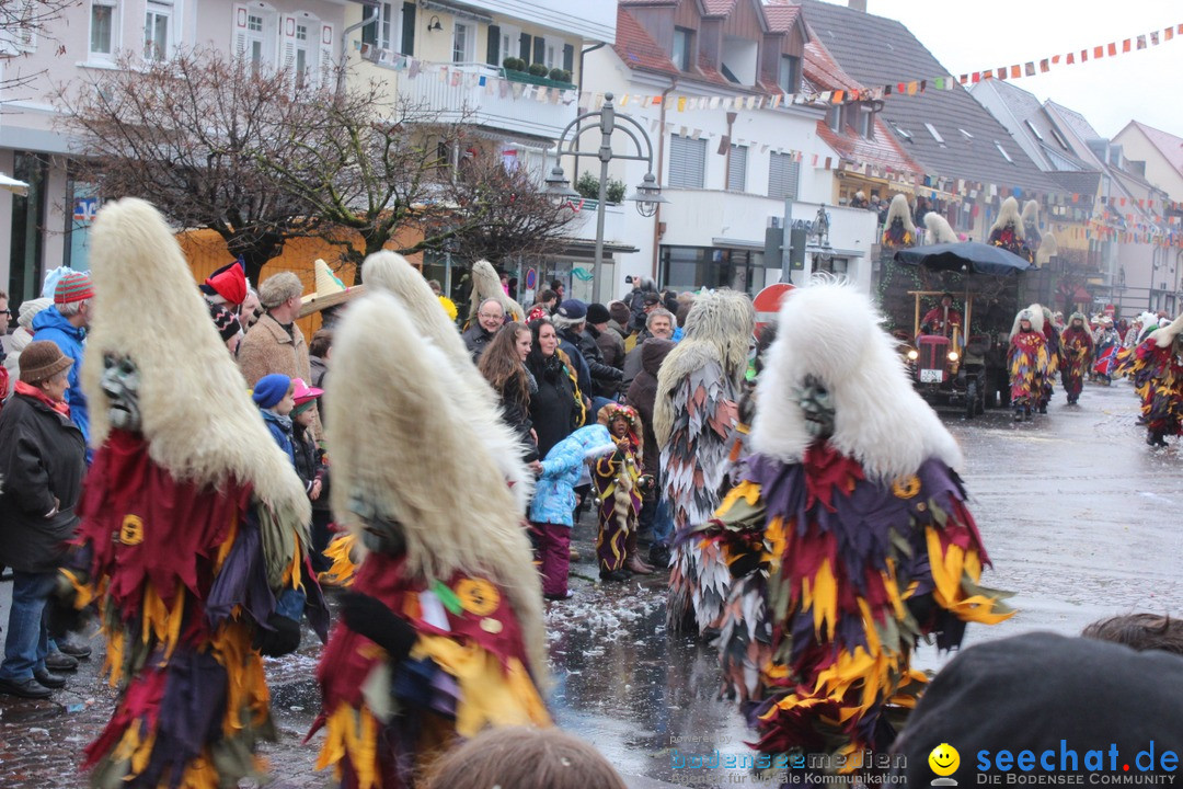 Fasnetsumzug - Fasching: Langenargen am Bodensee, 10.01.2016