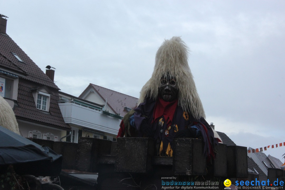 Fasnetsumzug - Fasching: Langenargen am Bodensee, 10.01.2016