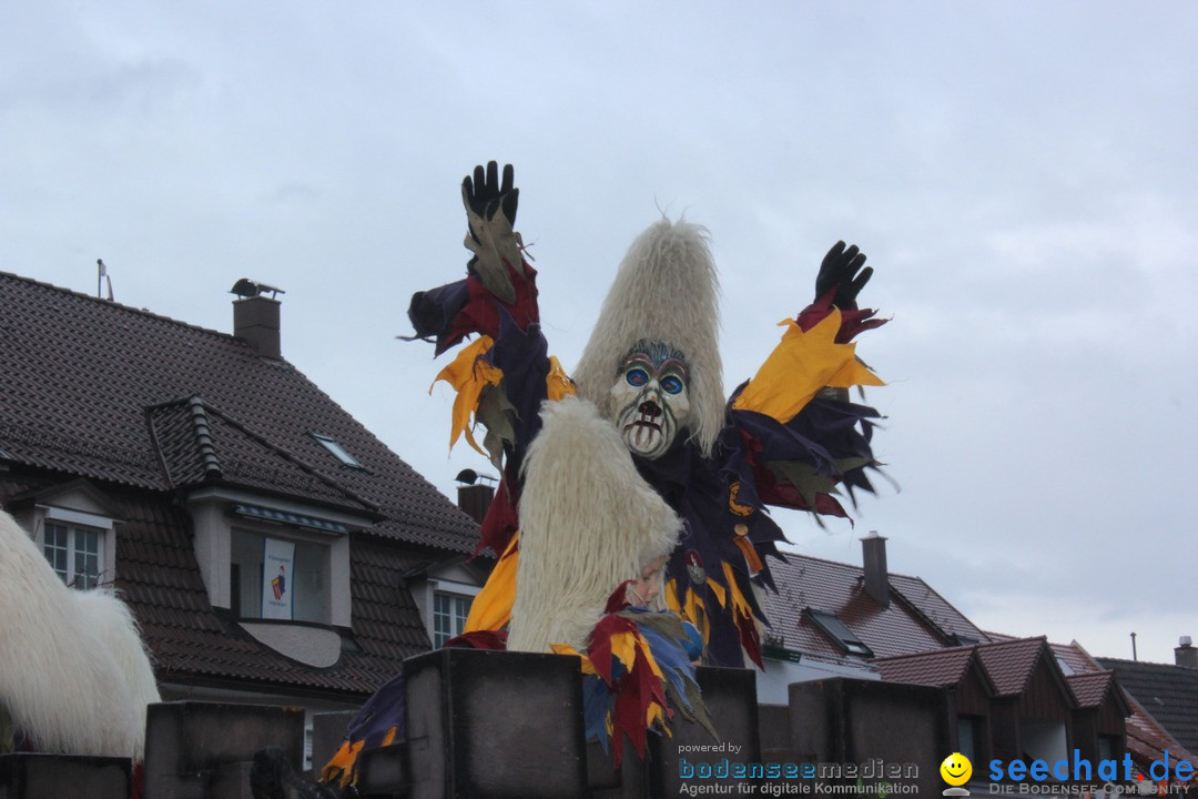 Fasnetsumzug - Fasching: Langenargen am Bodensee, 10.01.2016