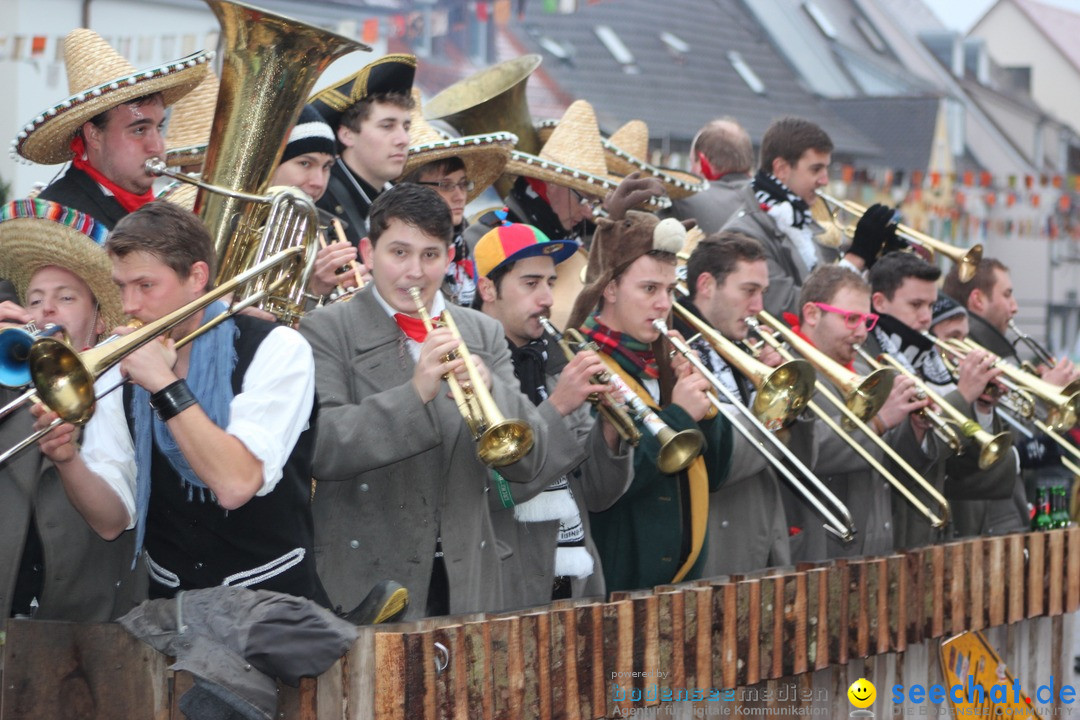 Fasnetsumzug - Fasching: Langenargen am Bodensee, 10.01.2016