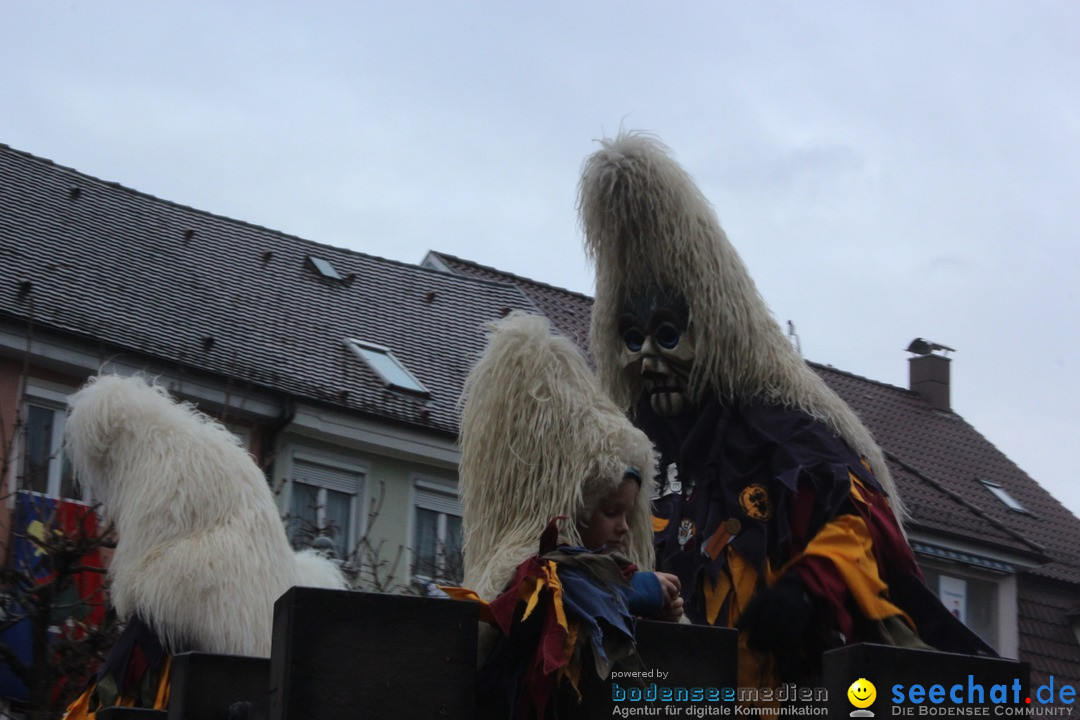 Fasnetsumzug - Fasching: Langenargen am Bodensee, 10.01.2016