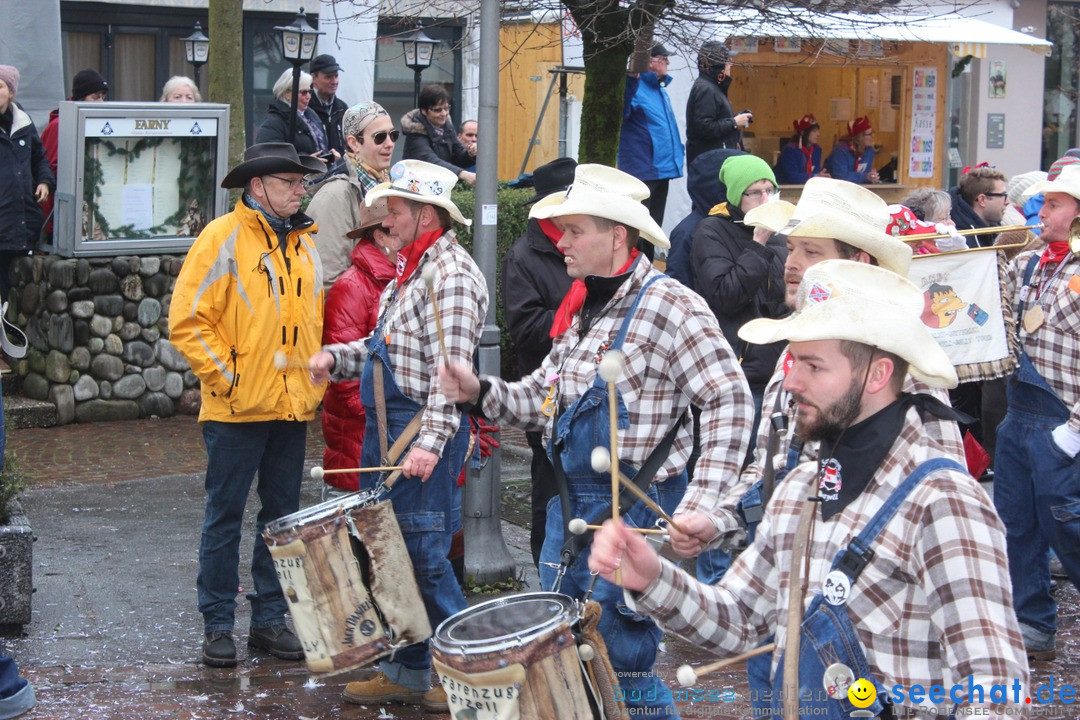 Fasnetsumzug - Fasching: Langenargen am Bodensee, 10.01.2016