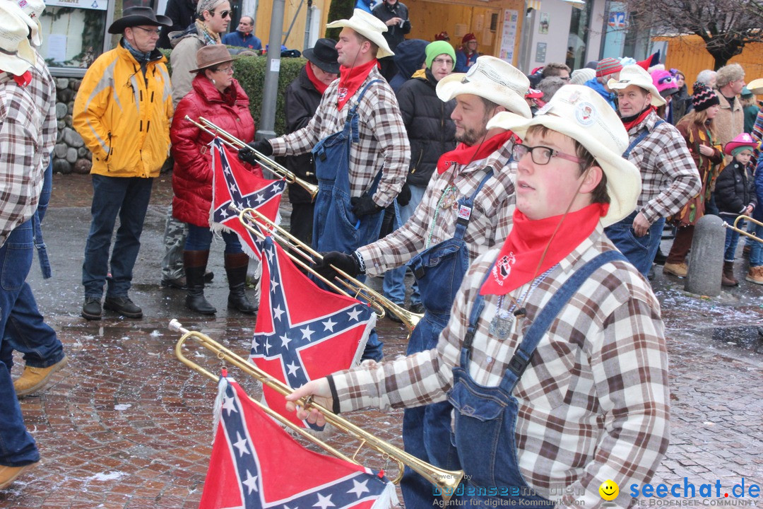 Fasnetsumzug - Fasching: Langenargen am Bodensee, 10.01.2016