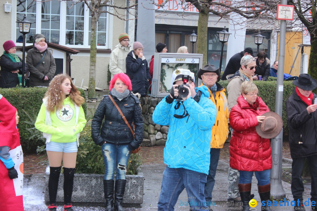 Fasnetsumzug - Fasching: Langenargen am Bodensee, 10.01.2016