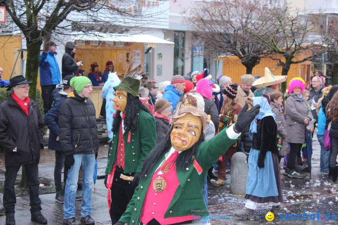 Fasnetsumzug - Fasching: Langenargen am Bodensee, 10.01.2016