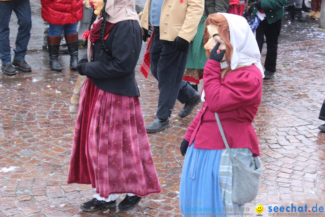 Fasnetsumzug - Fasching: Langenargen am Bodensee, 10.01.2016