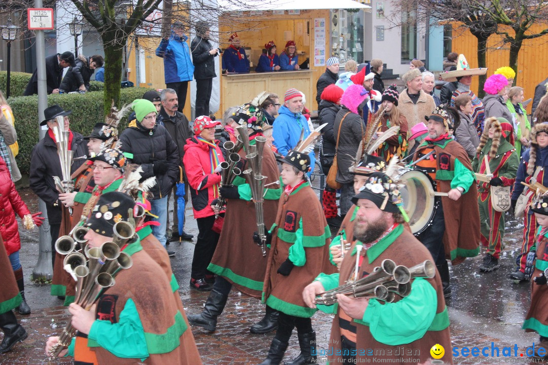 Fasnetsumzug - Fasching: Langenargen am Bodensee, 10.01.2016