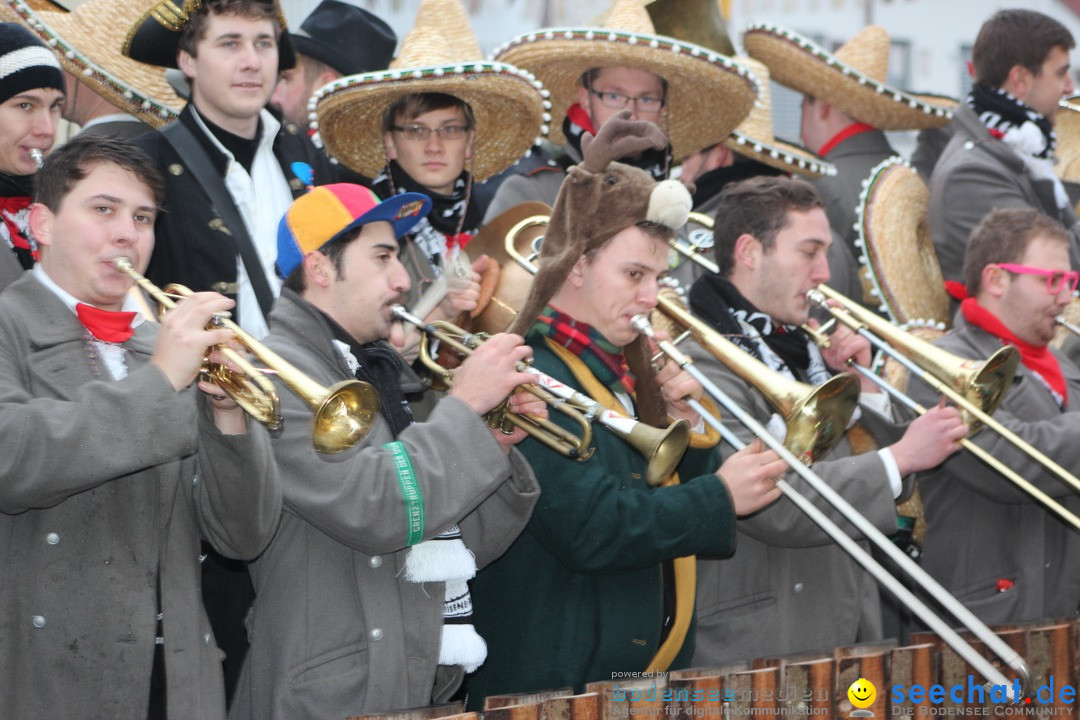 Fasnetsumzug - Fasching: Langenargen am Bodensee, 10.01.2016