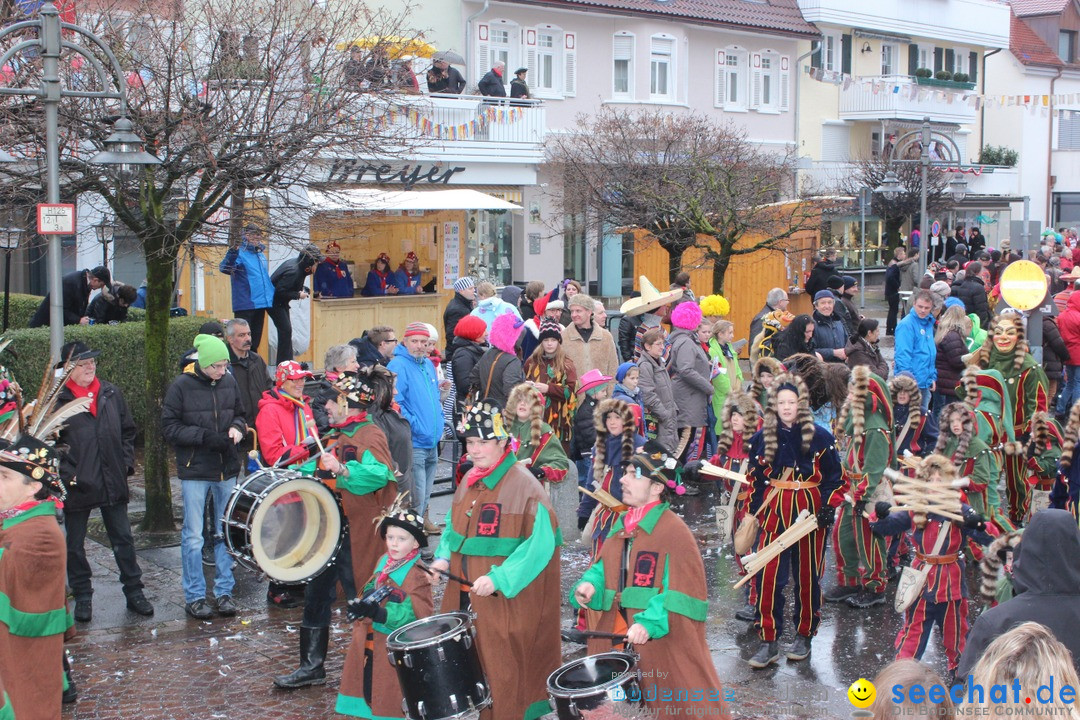 Fasnetsumzug - Fasching: Langenargen am Bodensee, 10.01.2016