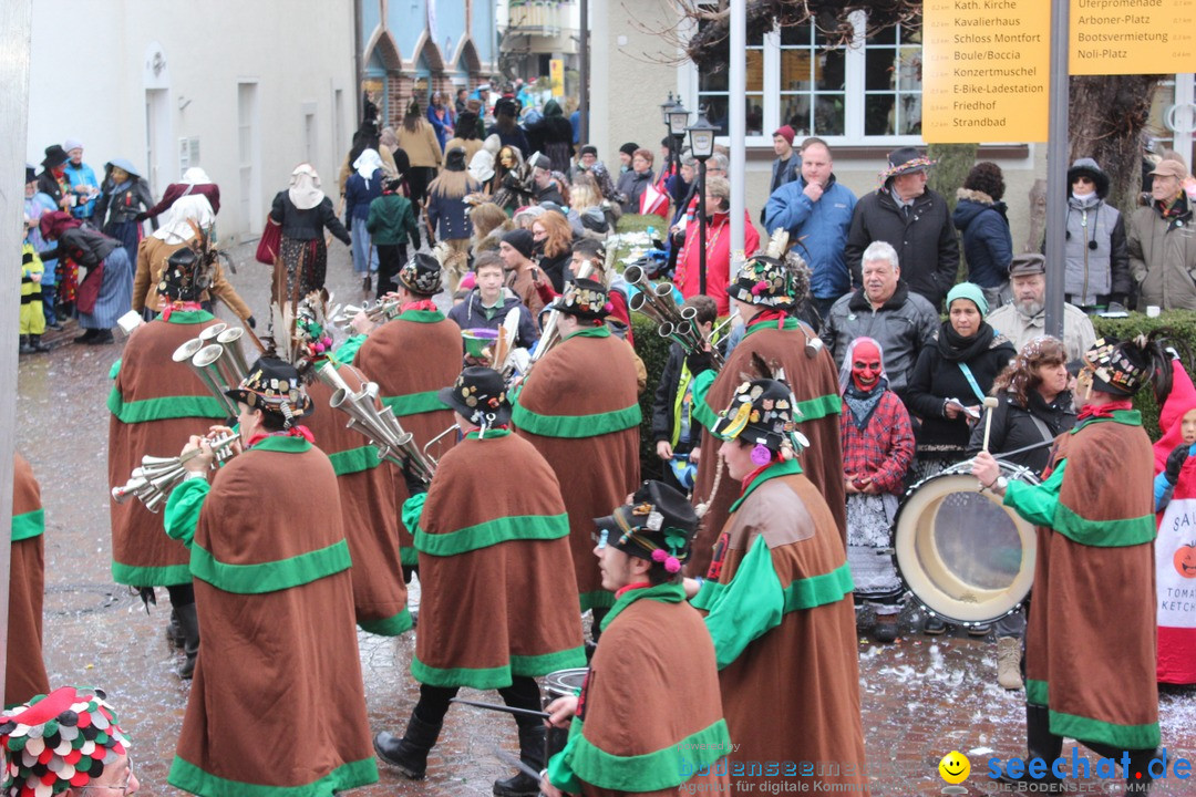 Fasnetsumzug - Fasching: Langenargen am Bodensee, 10.01.2016