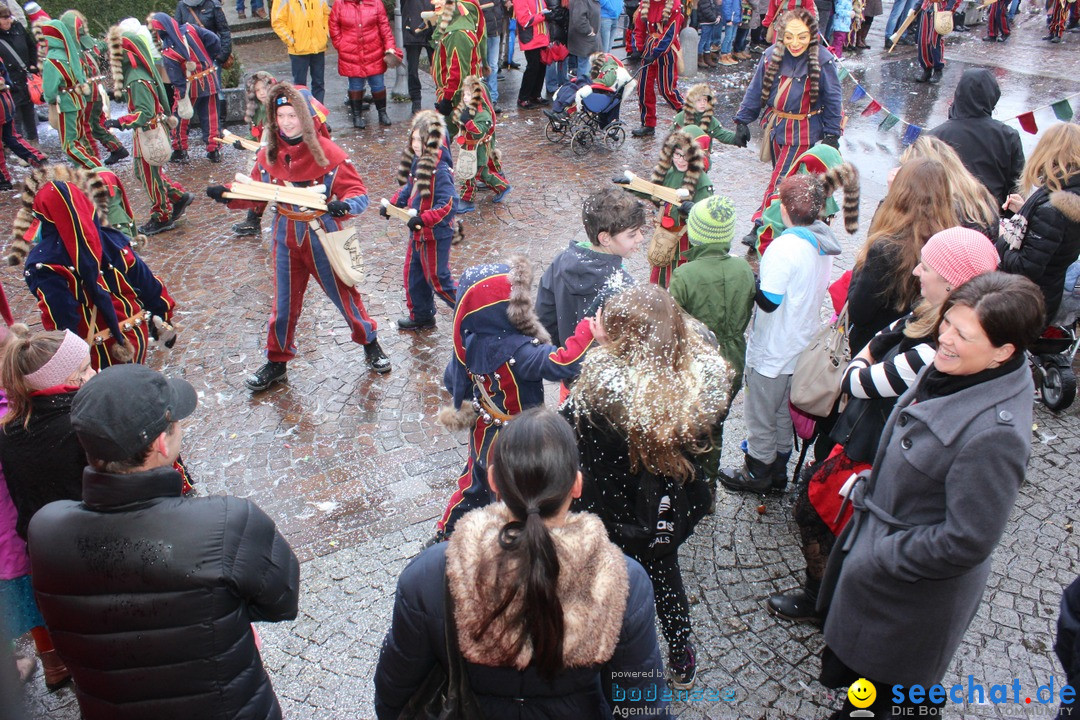 Fasnetsumzug - Fasching: Langenargen am Bodensee, 10.01.2016