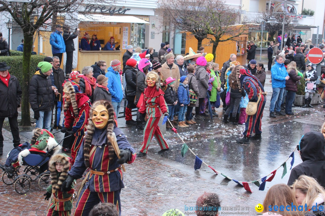 Fasnetsumzug - Fasching: Langenargen am Bodensee, 10.01.2016