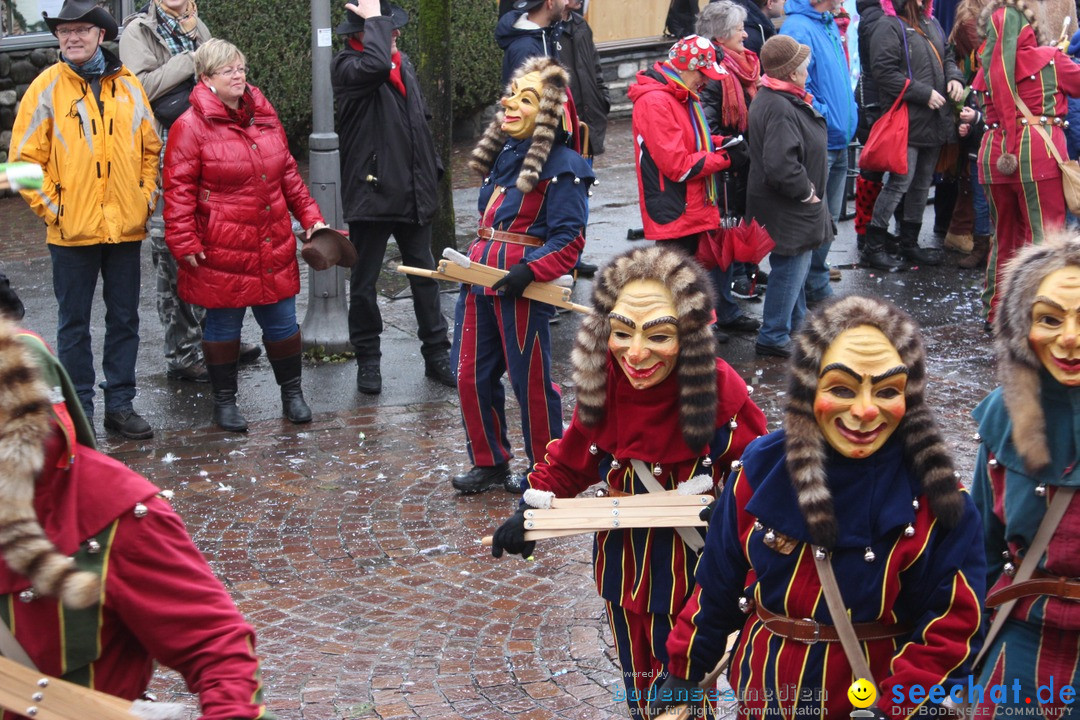 Fasnetsumzug - Fasching: Langenargen am Bodensee, 10.01.2016