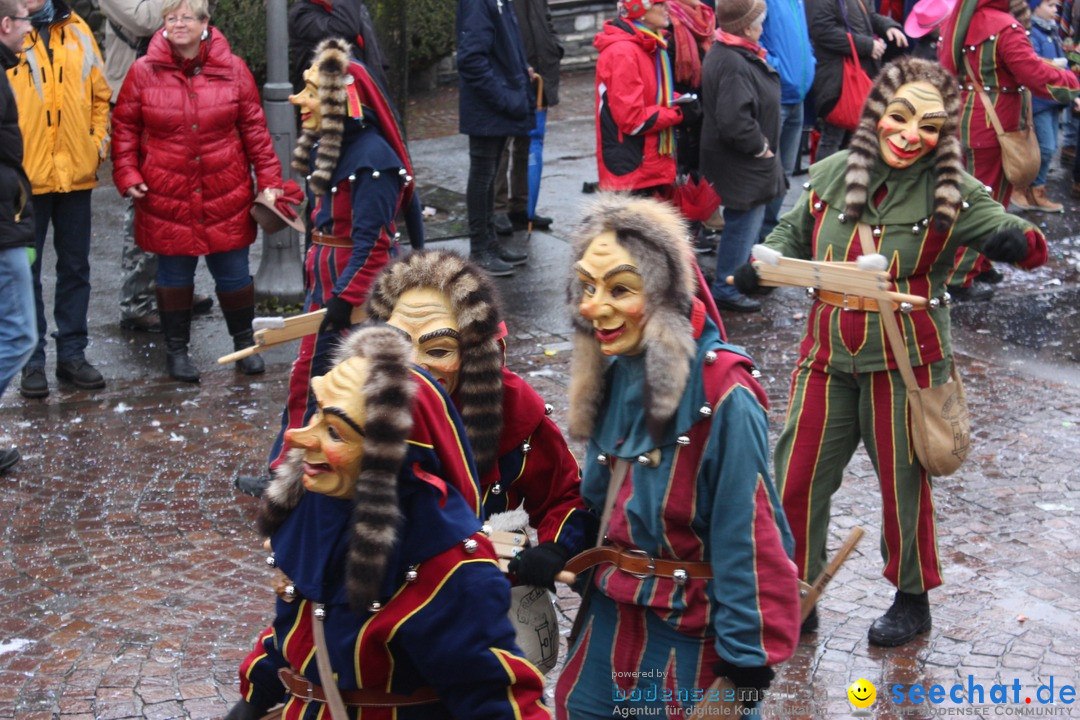 Fasnetsumzug - Fasching: Langenargen am Bodensee, 10.01.2016