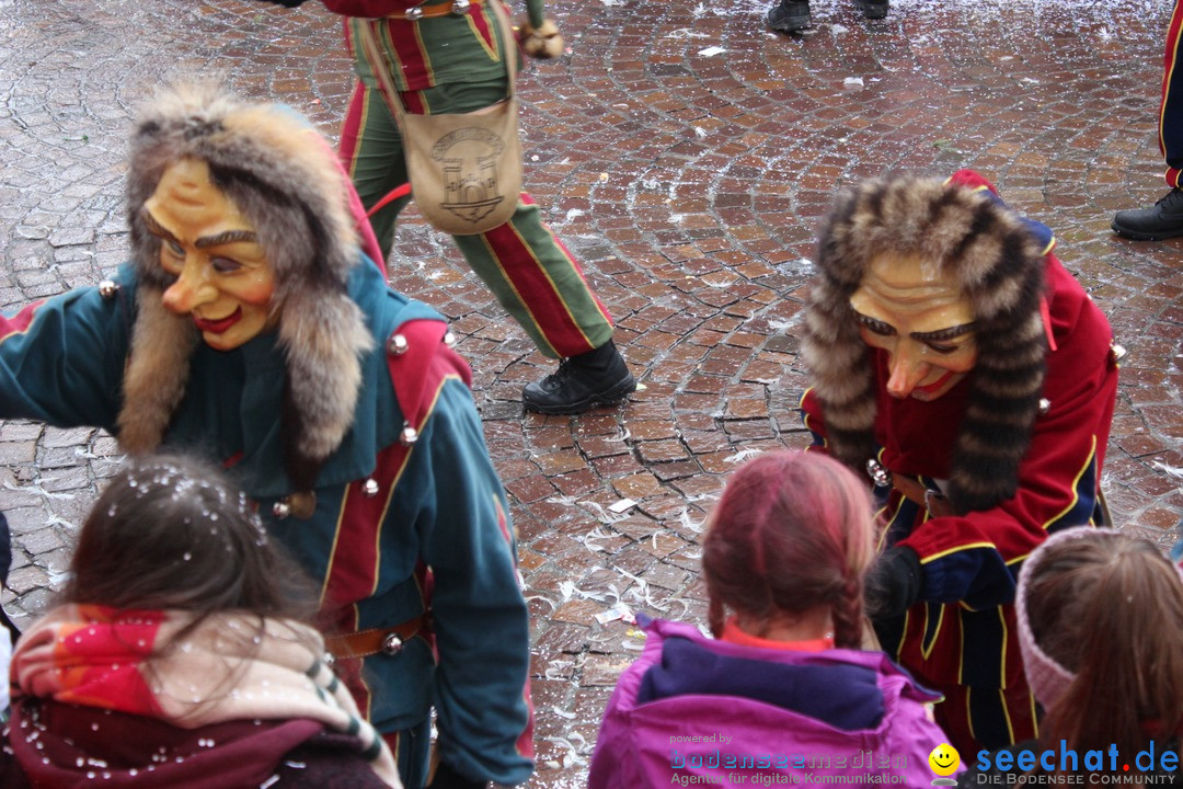 Fasnetsumzug - Fasching: Langenargen am Bodensee, 10.01.2016