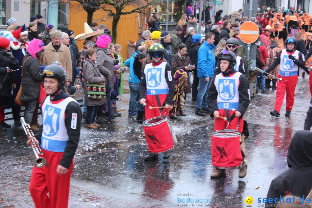 Fasnetsumzug - Fasching: Langenargen am Bodensee, 10.01.2016