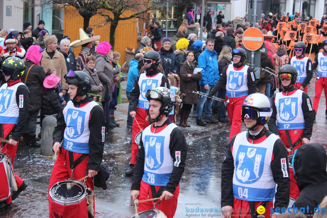 Fasnetsumzug - Fasching: Langenargen am Bodensee, 10.01.2016