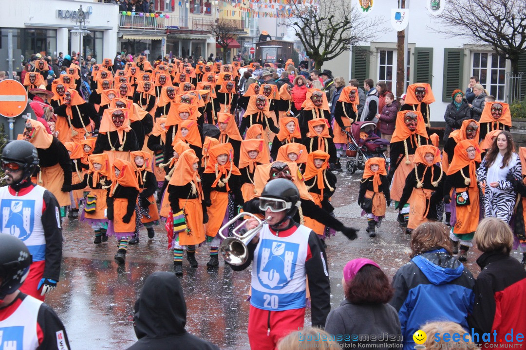 Fasnetsumzug - Fasching: Langenargen am Bodensee, 10.01.2016