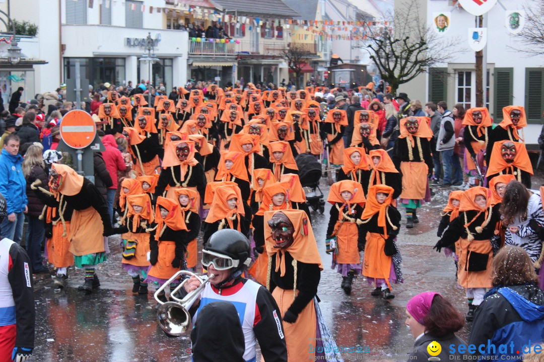 Fasnetsumzug - Fasching: Langenargen am Bodensee, 10.01.2016