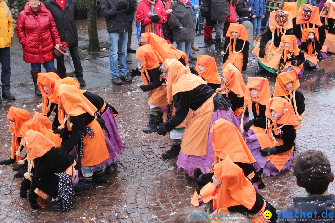 Fasnetsumzug - Fasching: Langenargen am Bodensee, 10.01.2016