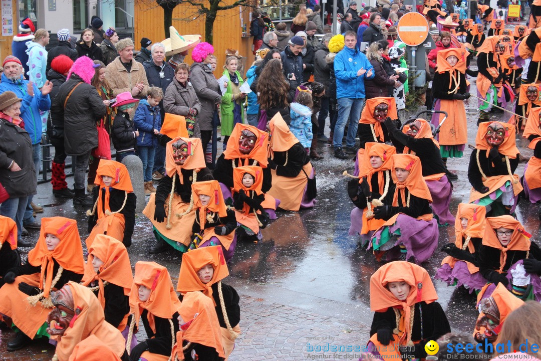 Fasnetsumzug - Fasching: Langenargen am Bodensee, 10.01.2016