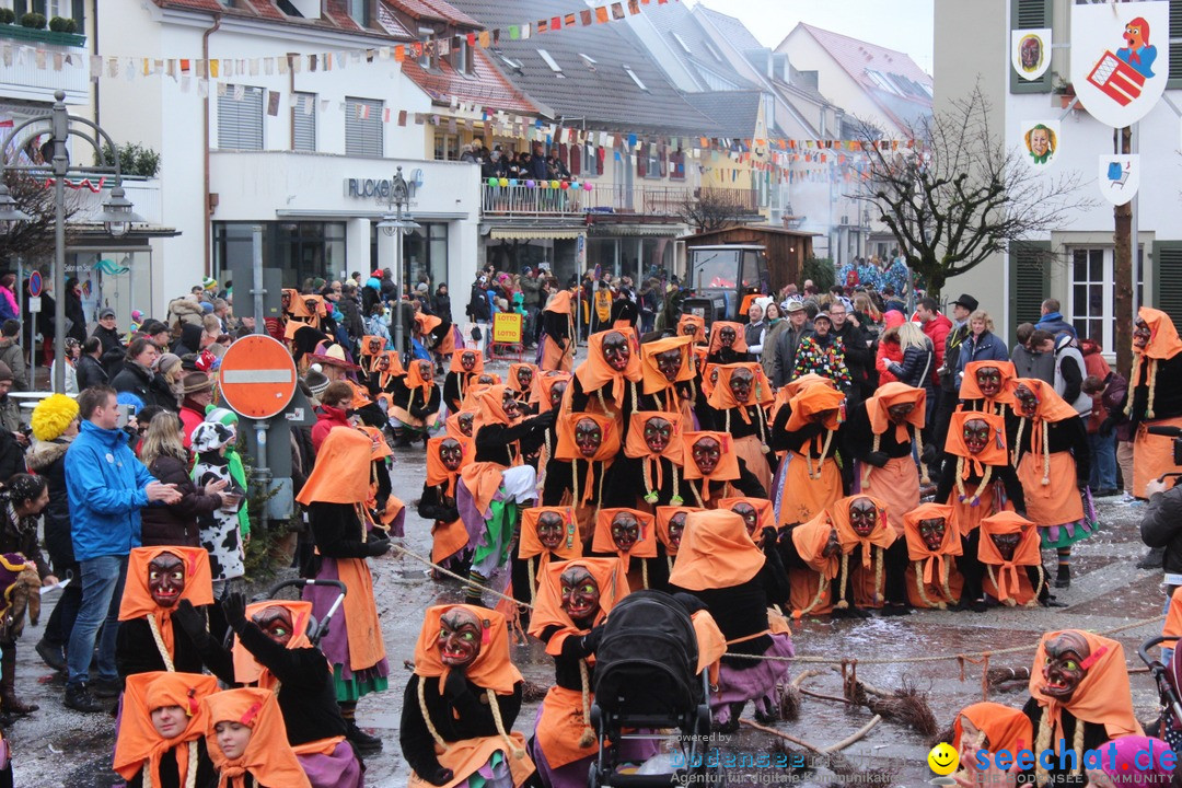 Fasnetsumzug - Fasching: Langenargen am Bodensee, 10.01.2016