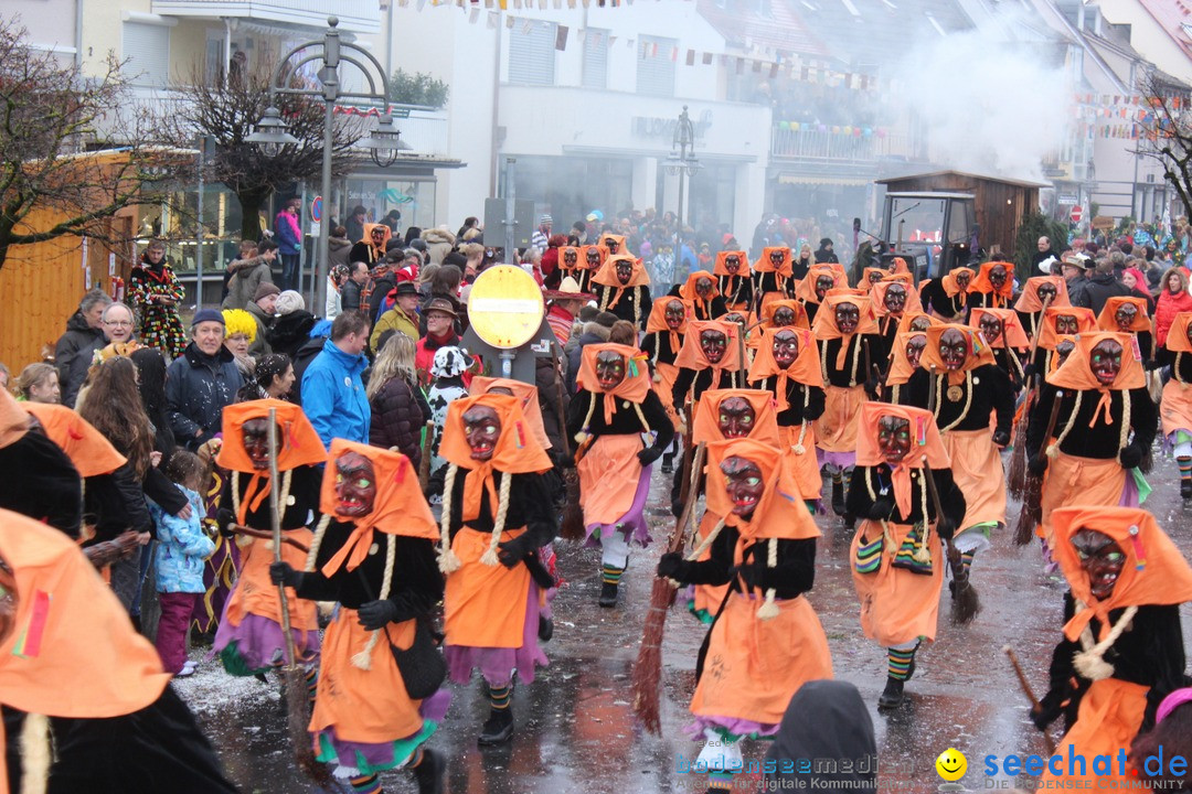 Fasnetsumzug - Fasching: Langenargen am Bodensee, 10.01.2016