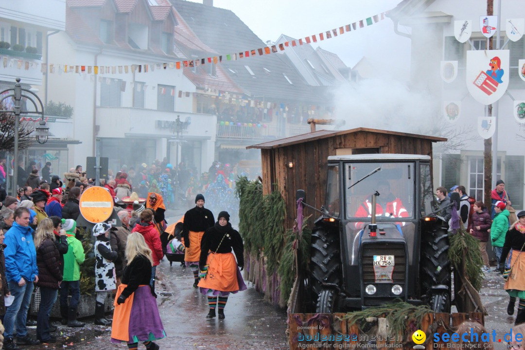 Fasnetsumzug - Fasching: Langenargen am Bodensee, 10.01.2016