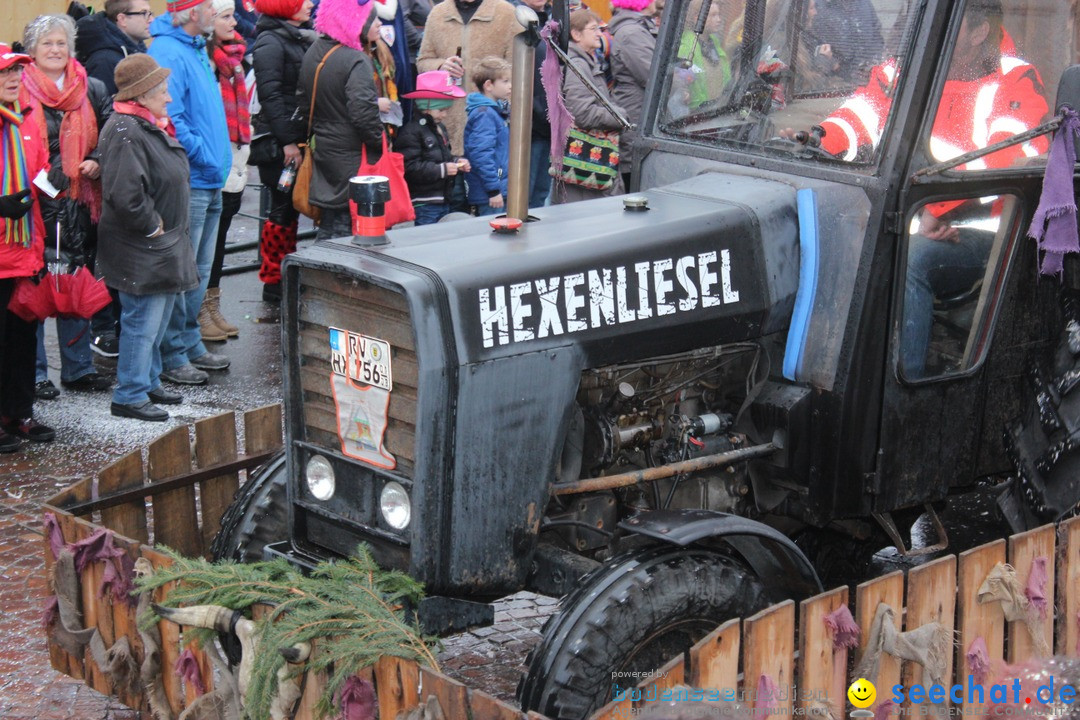 Fasnetsumzug - Fasching: Langenargen am Bodensee, 10.01.2016