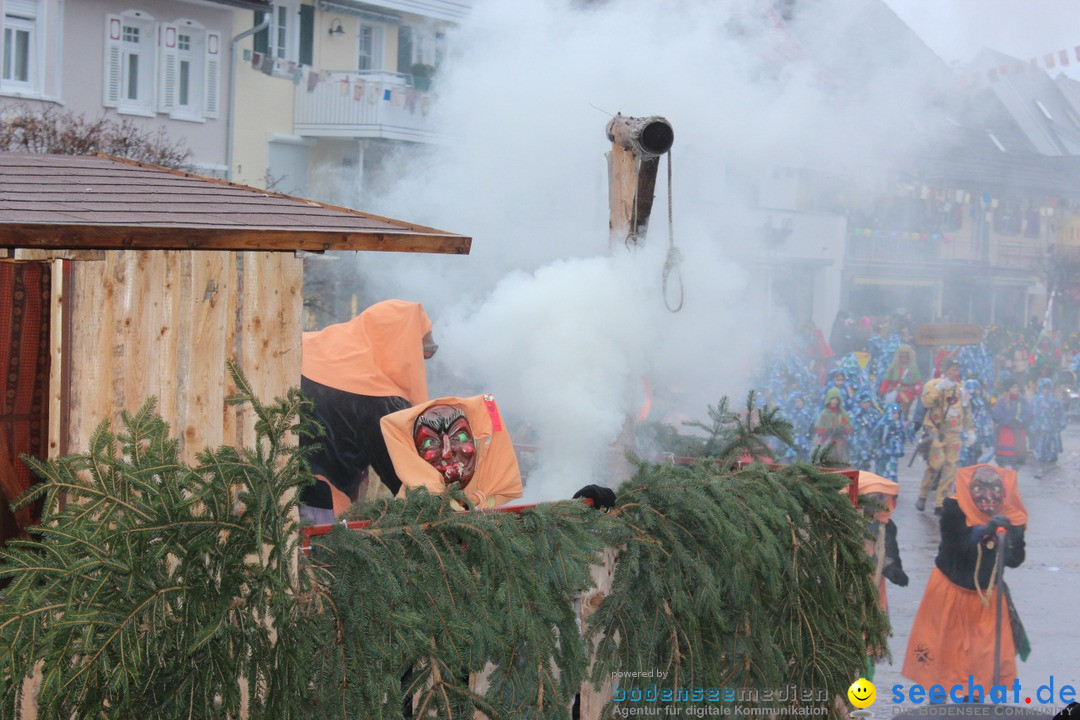 Fasnetsumzug - Fasching: Langenargen am Bodensee, 10.01.2016