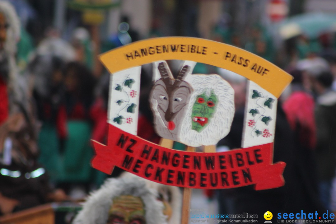 Fasnetsumzug - Fasching: Langenargen am Bodensee, 10.01.2016