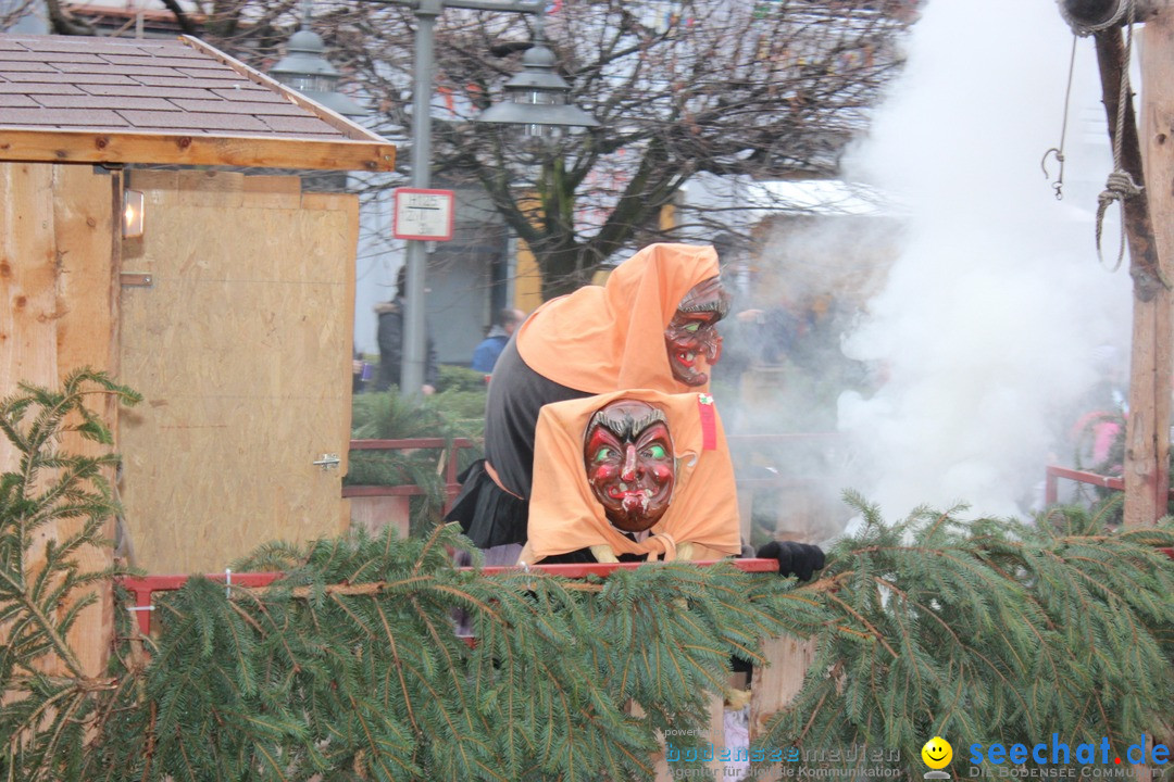 Fasnetsumzug - Fasching: Langenargen am Bodensee, 10.01.2016