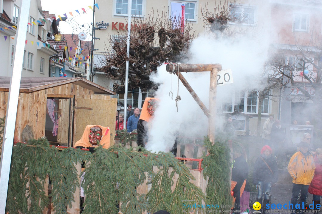 Fasnetsumzug - Fasching: Langenargen am Bodensee, 10.01.2016