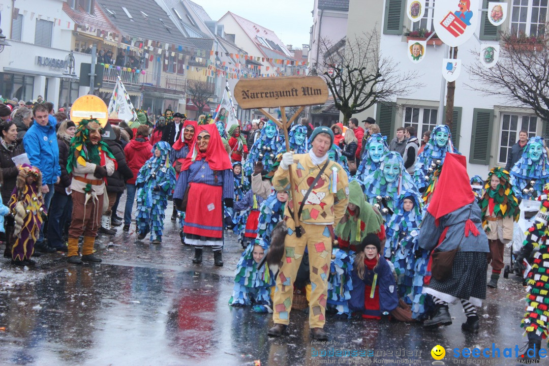 Fasnetsumzug - Fasching: Langenargen am Bodensee, 10.01.2016