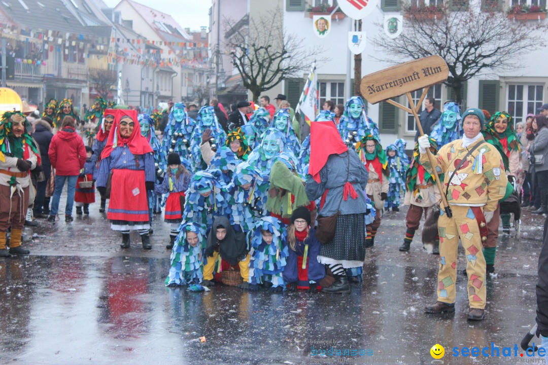 Fasnetsumzug - Fasching: Langenargen am Bodensee, 10.01.2016