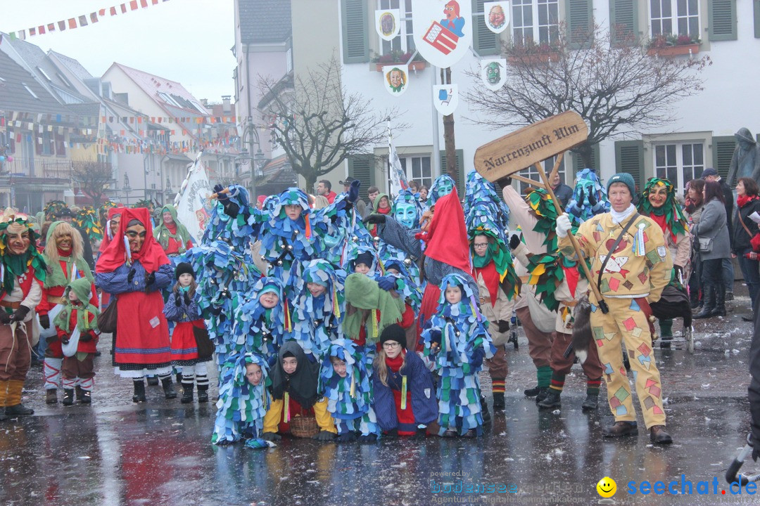 Fasnetsumzug - Fasching: Langenargen am Bodensee, 10.01.2016