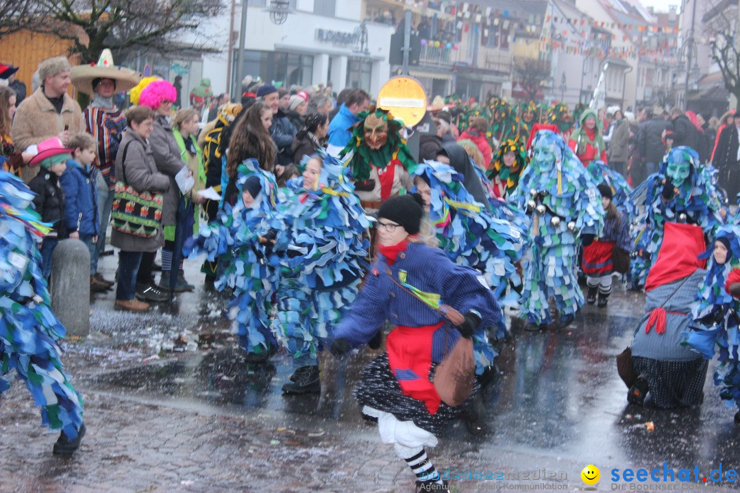 Fasnetsumzug - Fasching: Langenargen am Bodensee, 10.01.2016