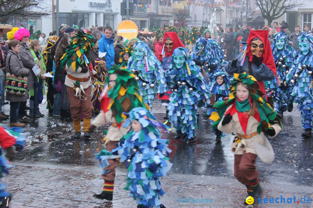 Fasnetsumzug - Fasching: Langenargen am Bodensee, 10.01.2016