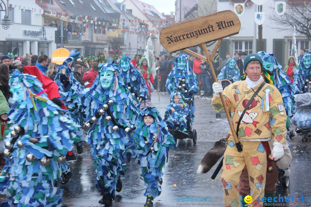 Fasnetsumzug - Fasching: Langenargen am Bodensee, 10.01.2016