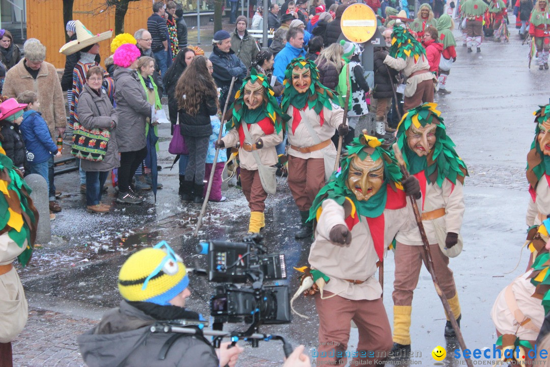 Fasnetsumzug - Fasching: Langenargen am Bodensee, 10.01.2016