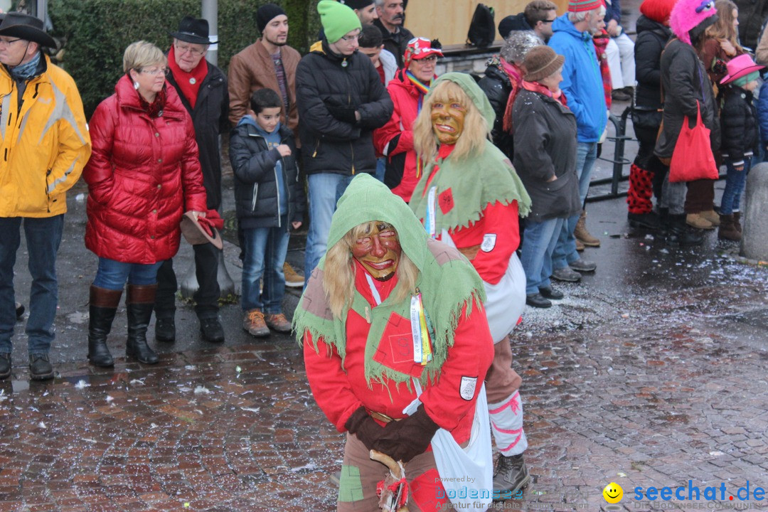 Fasnetsumzug - Fasching: Langenargen am Bodensee, 10.01.2016