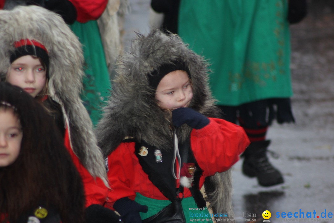 Fasnetsumzug - Fasching: Langenargen am Bodensee, 10.01.2016